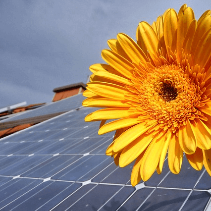 Solarpanel_Sonnenblume