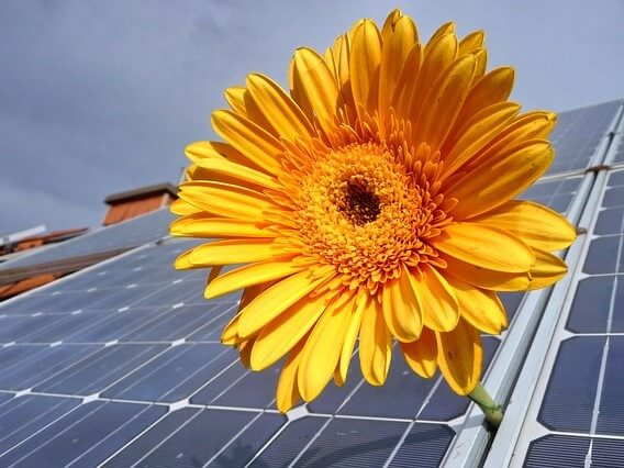 Photovoltaikanlage auf Dach und Sonnenblume